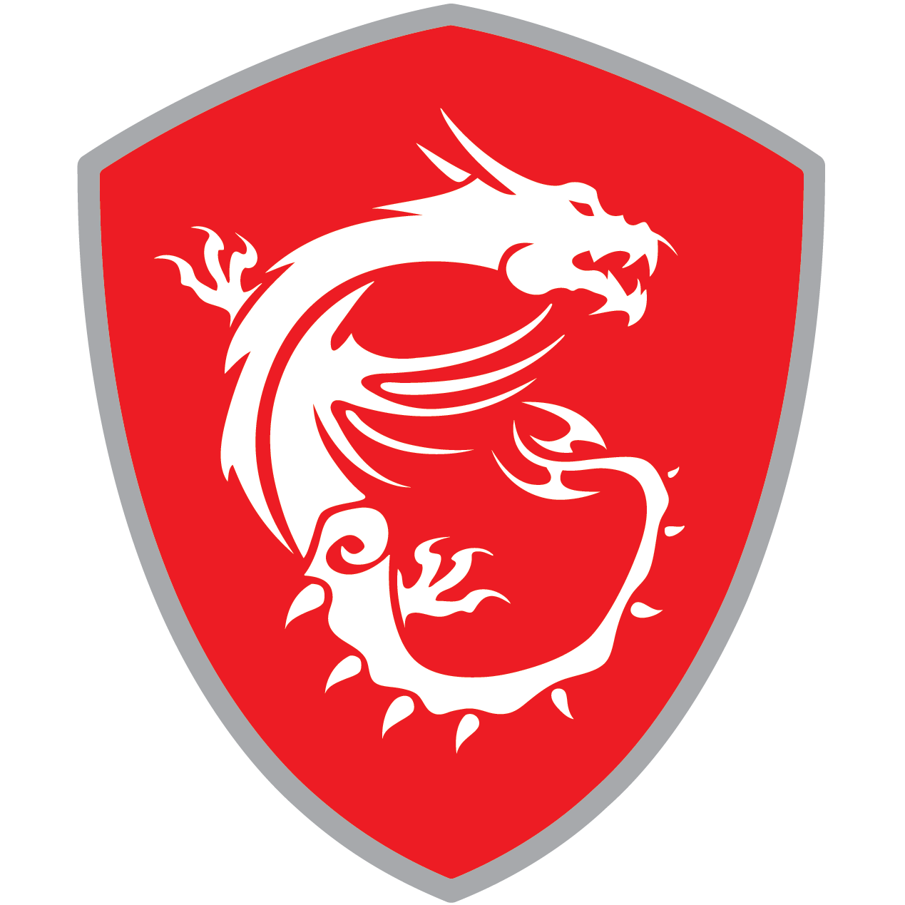 MSI